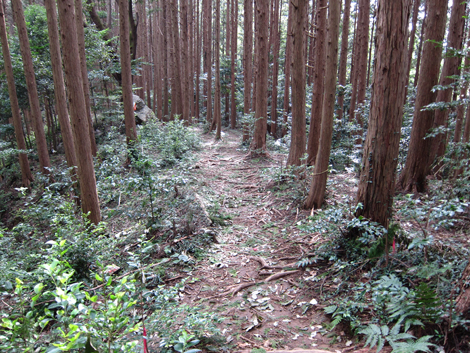 20191017hike (110)